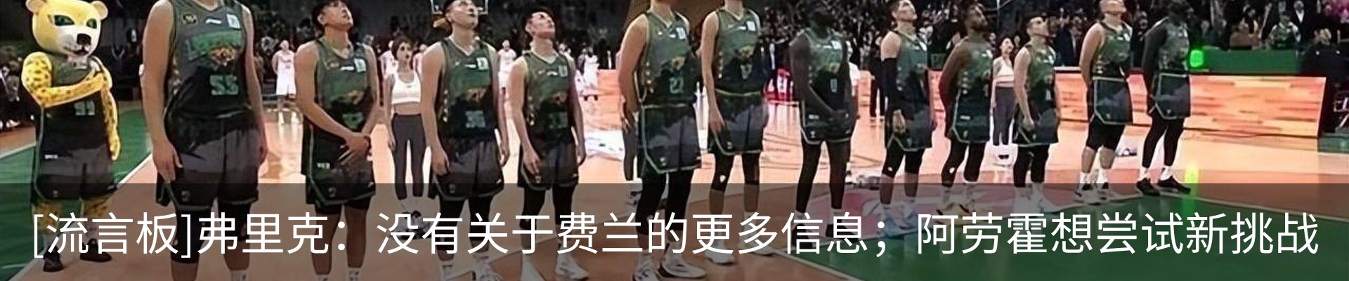 新闻动态